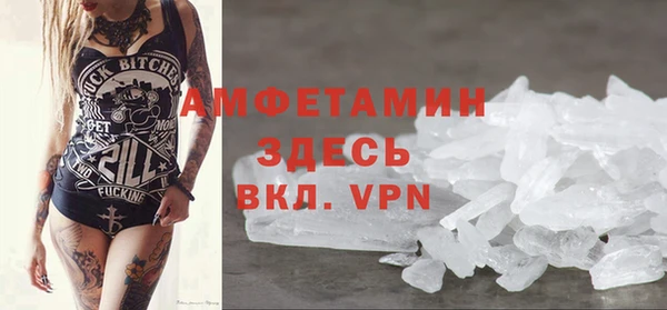 сатива Аркадак