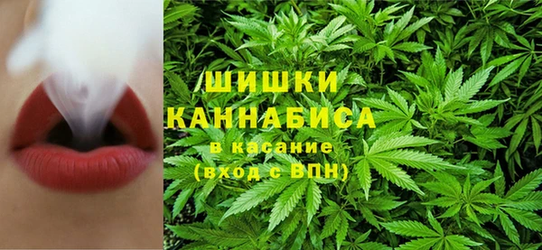 сатива Аркадак
