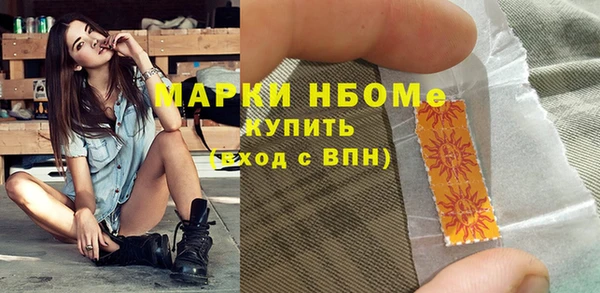 сатива Аркадак