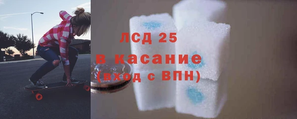 сатива Аркадак