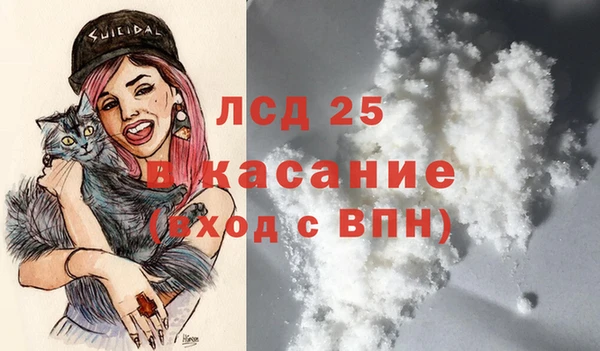 сатива Аркадак