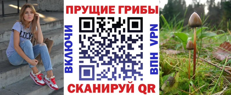 Галлюциногенные грибы Magic Shrooms  Жигулёвск 
